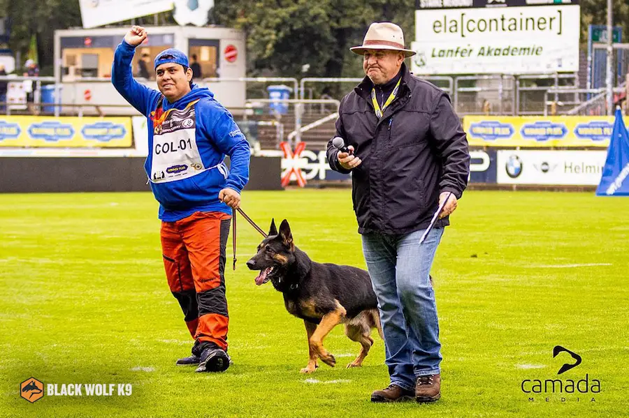 competencia-de-perros-WUSV